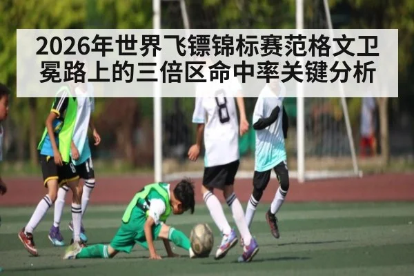 2026年世界飞镖锦标赛范格文卫冕路上的三倍区命中率关键分析
